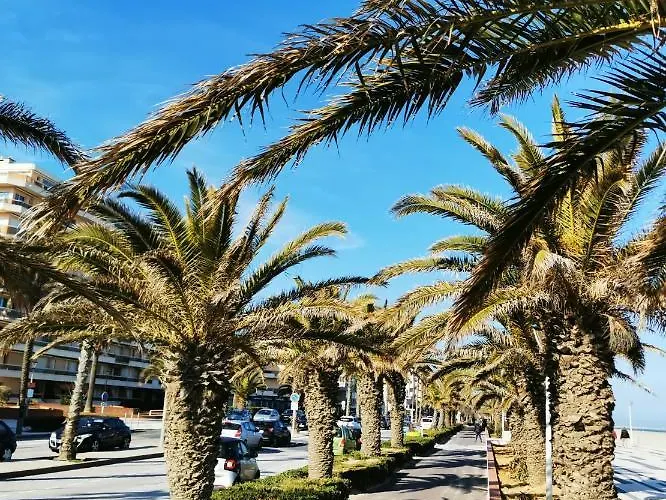 Vue Mer. Calme Et Idealement Situe Lejlighed Canet-en-Roussillon